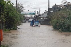 بارش ۲۵۰ میلیمتری باران در گیلان/۳۰ راه روستایی دچار رانش شده است