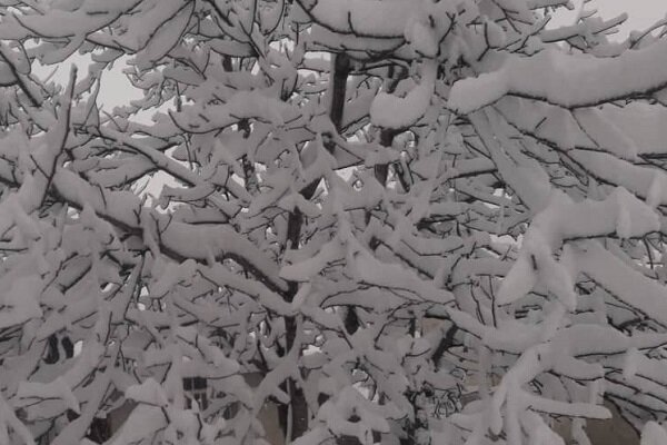 بارش برف ۲۰ سانتیمتری در دیلمان شهرستان سیاهکل بارش برف ۲۰ سانتیمتری در دیلمان شهرستان سیاهکل