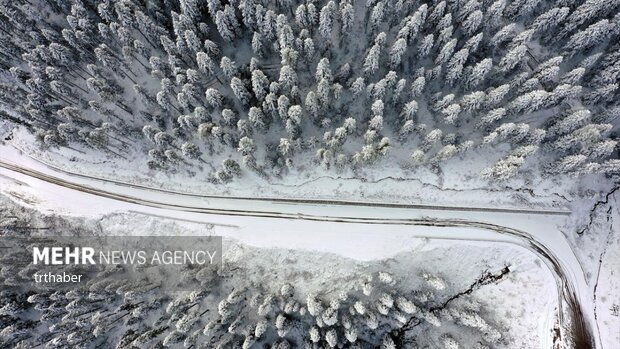 Ilgaz Dağı