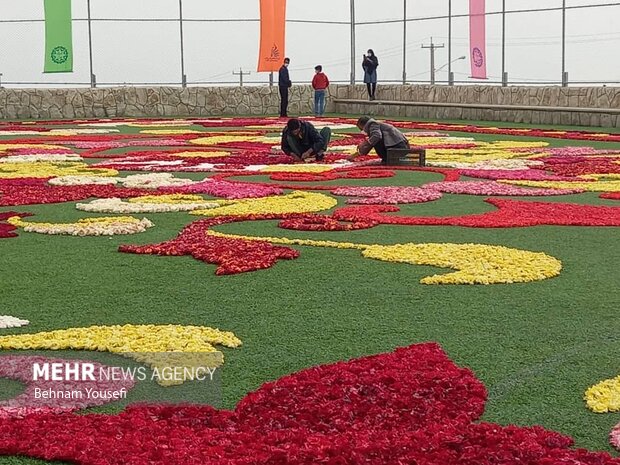 Largest flower carpet of West Asia in central Iran