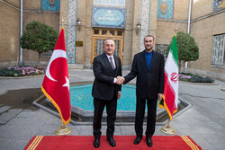 İranlı gazeteci Çavuşoğlu'nun Tahran ziyaretini değerlendirdi