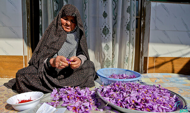 افغانستانی‌ها طلای خراسان را در خانه پاک می‌کنند 