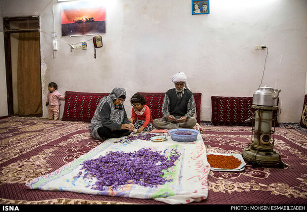 افغانستانی‌ها طلای خراسان را در خانه پاک می‌کنند 