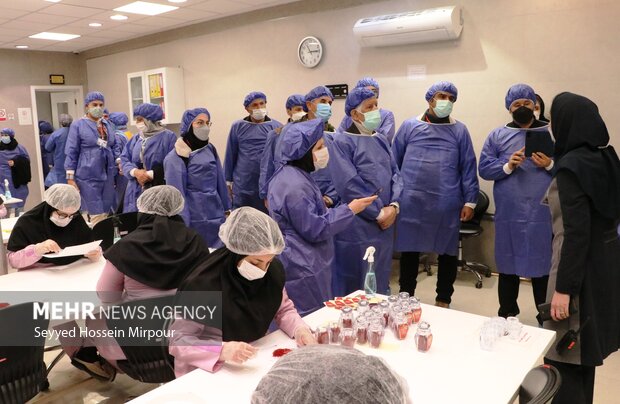 Saffron harvest in Razavi Khorasan
