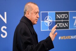 NATO Genel Sekreteri, Erdoğan'la Ukrayna'yı görüştü