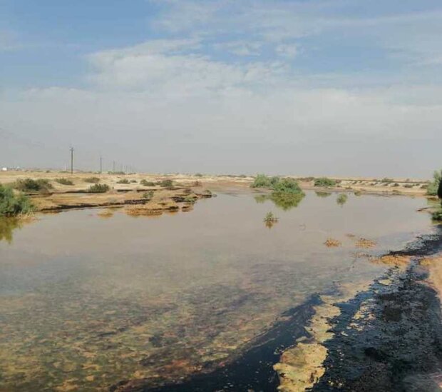 مواد نفتی اطراف روستای شول شهرستان گناوه را آلوده کرد