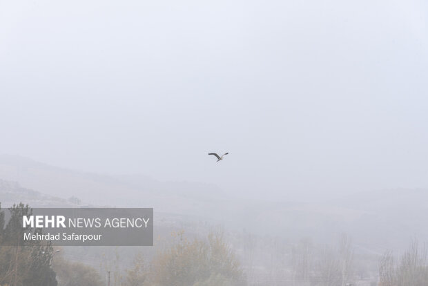 Zayende Rud Nehri'ni sis sardı