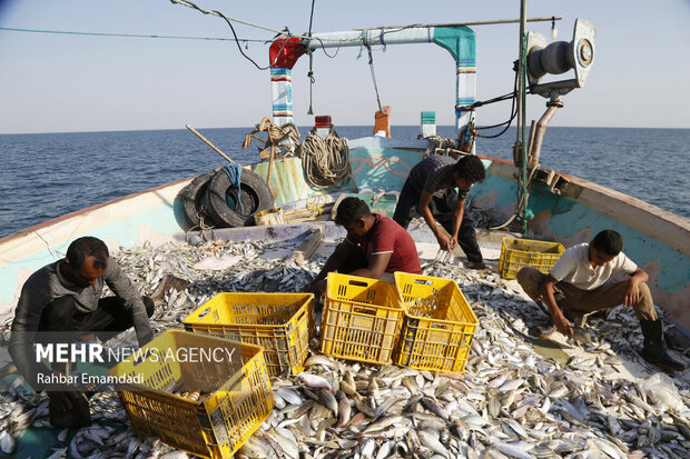 باقة أسبوعية من التقارير المصورة لوكالة مهر للأنباء