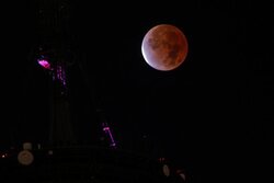ماه خونین فردا در آسمان آمریکا پدیدار می شود