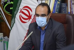 صدور حکم برای بیش از ۲هزار پرونده قاچاق کالا و ارز در کرمانشاه