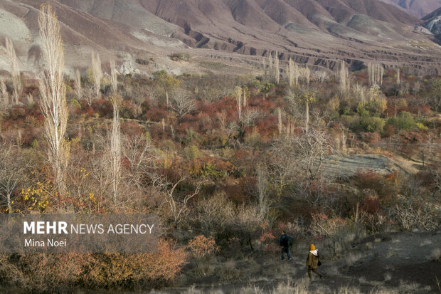 Autumn beauties in Tesuj in northwest Iran