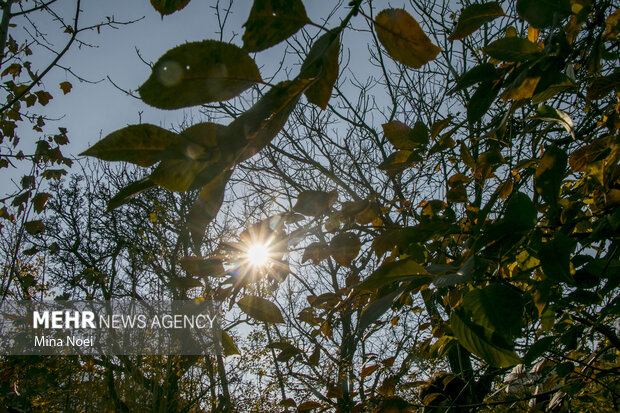 Autumn beauties in Tesuj in northwest Iran