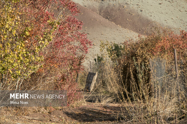 Autumn beauties in Tesuj in northwest Iran