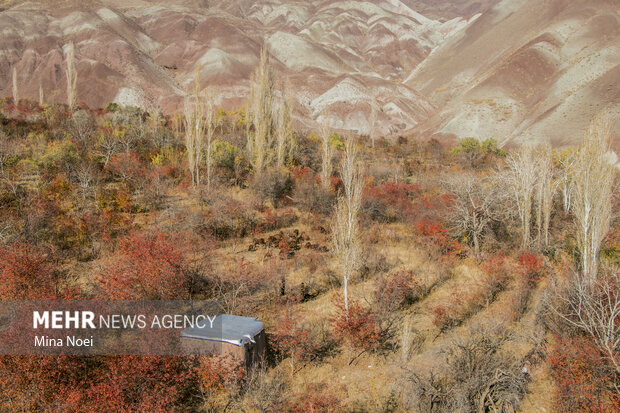 Autumn beauties in Tesuj in northwest Iran