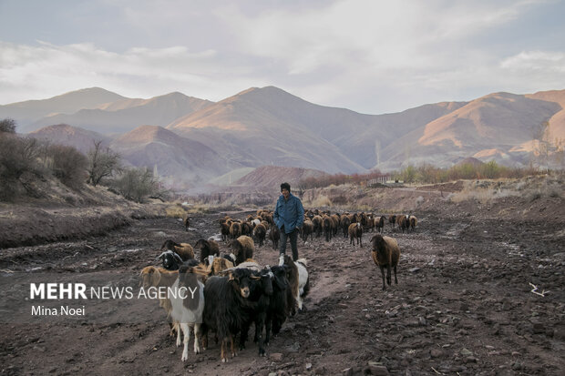 طبیعت زیبای پاییزیی روستاهای تسوج