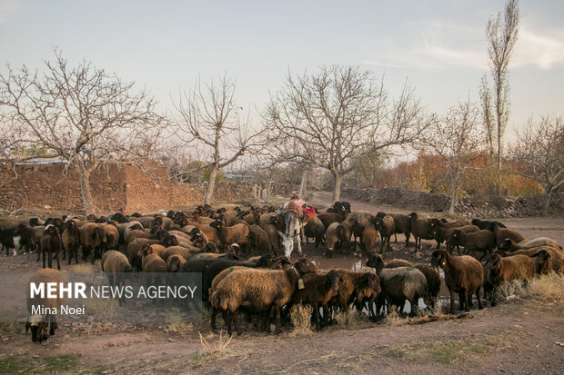 Autumn beauties in Tesuj in northwest Iran