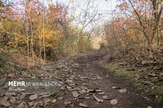 Autumn beauties in Tesuj in northwest Iran