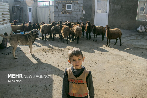 اردوی جهادی دامپزشکی گروه شهید حاج قاسم سلیمانی