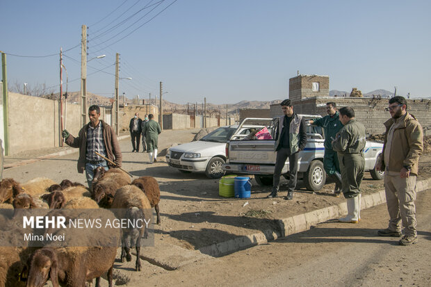 اردوی جهادی دامپزشکی گروه شهید حاج قاسم سلیمانی