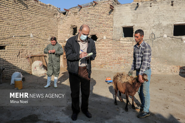 اردوی جهادی دامپزشکی گروه شهید حاج قاسم سلیمانی
