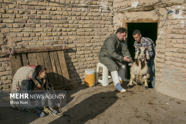 اردوی جهادی دامپزشکی گروه شهید حاج قاسم سلیمانی