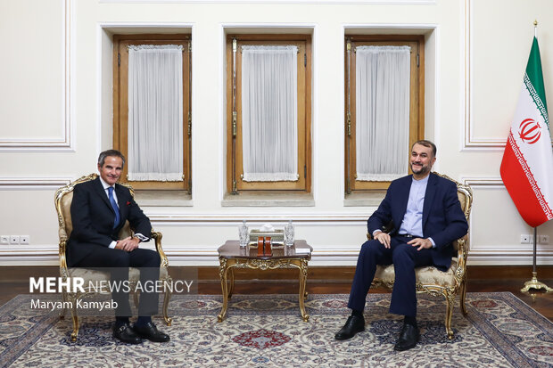 حسین امیرعبداللهیان وزیر امور خارجه ایران و رافائل گروسی مدیر کل آژانس بین المللی انرژی اتمی دیدار و گفتگو کردند