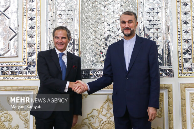 حسین امیرعبداللهیان وزیر امور خارجه ایران و رافائل گروسی مدیر کل آژانس بین المللی انرژی اتمی دیدار و گفتگو کردند