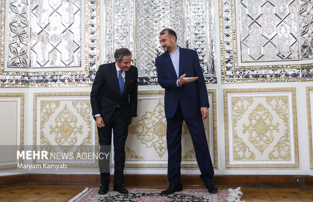 حسین امیرعبداللهیان وزیر امور خارجه ایران در حال هدایت رافائل گروسی مدیر کل آژانس بین المللی انرژی اتمی به محل دیدار است 