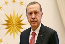 Erdoğan dismisses 'primitive' snap polls: Report