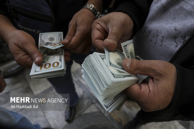 مردم صبح امروز برای خرید ارز در صف های طولانی در مقابل صرافی های میدان فردوسی حضور دارند