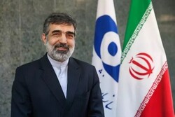 Iran to continue cooperation with IAEA: AEOI spox