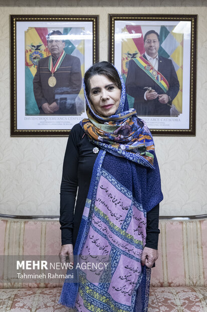 Envoy talks of Iran-Bolivia bilateral ties, intl developments
