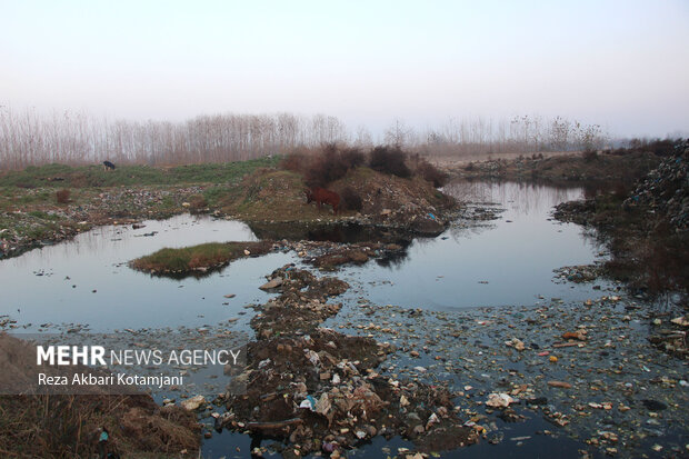 زخم ناسور زباله بر گونه سبز روستای کشل آستانه اشرفیه