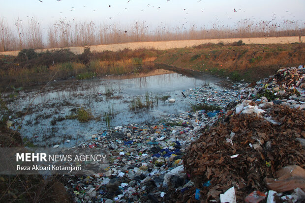  پیگیری مجوز پاکسازی رودخانه قوری‌چای از ضایعات سفال و سرامیک