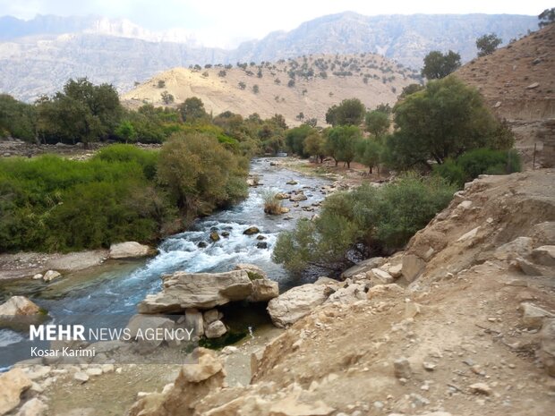 وضعیت روستای زلزله زده« سوسن سرخاب» اندیکا