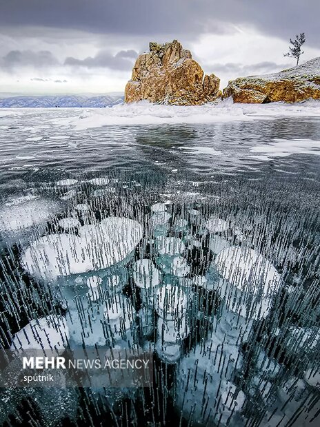 برندگان مسابقه عکاسی مطبوعات جهانی 2021