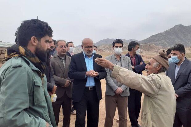 لزوم راه اندازی مجتمع دامداری برای حل مشکلات بخش زرین آباد 