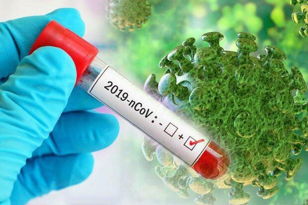 ۱۴ مورد جدید مبتلا به کرونا ویروس در ایلام شناسایی شد