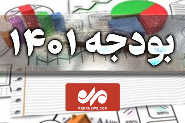 نقاط قوت و ضعف بودجه ۱۴۰۱ از زبان نماینده تهران