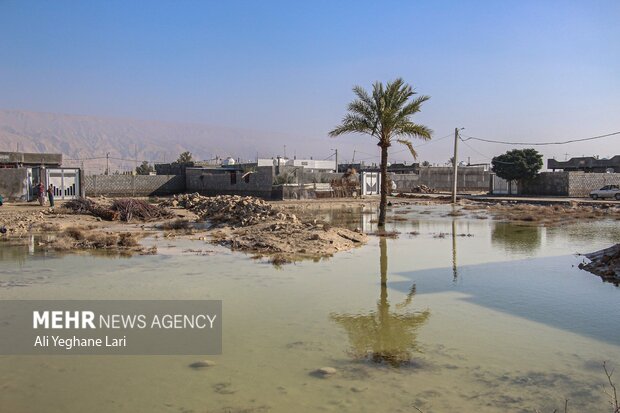 خسارت سیل در استان بوشهر/ از راه و برق تا نابودی محصول کشاورزان