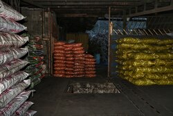 متخلفین تهیه زغال بلوط در خرم‌آباد شناسایی و دستگیر شدند