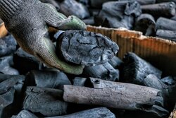 کشف انبار غیرمجاز زغال درختان جنگلی بلوط در بیستون