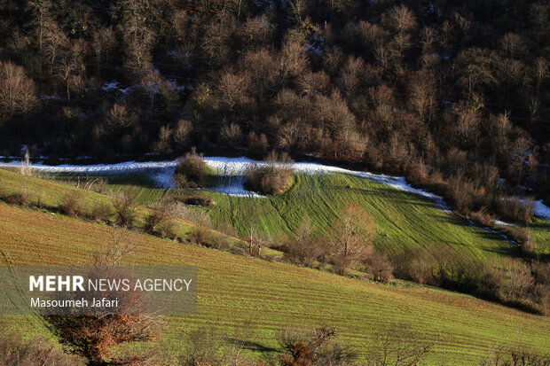 A Snowy day in Kiasar mountains of Mazandaran 