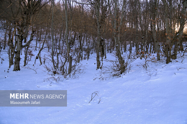 A Snowy day in Kiasar mountains of Mazandaran 