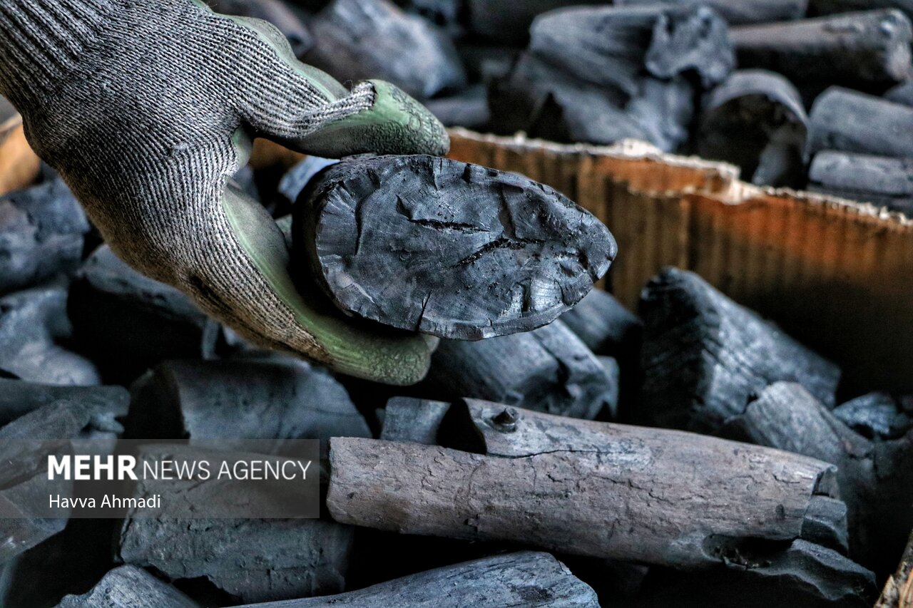کوره های زغال گیری روستاهای حاشیه دنا امحا شدند