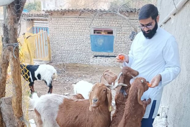 همت طلبه جهادگر و افزایش درآمدروستا/با دست خالی هم می شود کار کرد