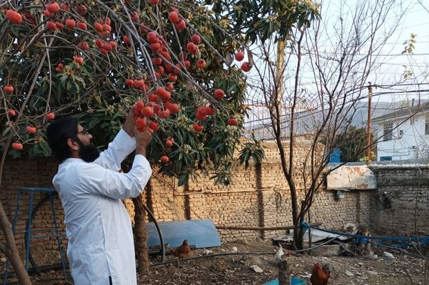 همت طلبه جهادگر و افزایش درآمدروستا/با دست خالی هم می شود کار کرد