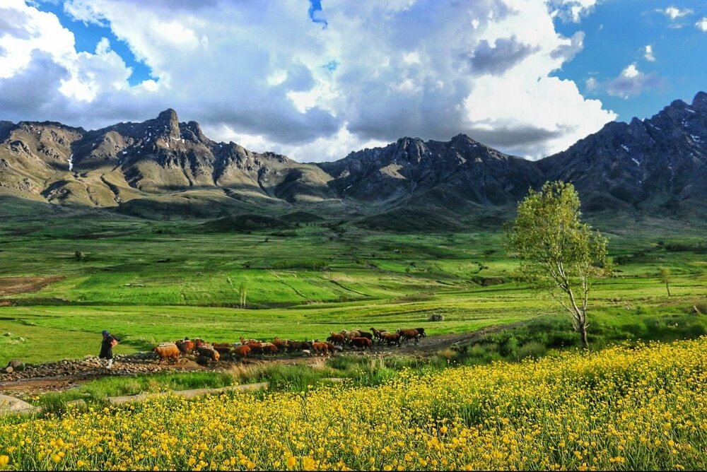 ۶۰۰۰ متر مربع از اراضی ملی منطقه «بدر و پریشان» رفع تصرف شد