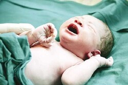 تولد ۵۳۱۸ نوزاد در مرکز آموزشی درمانی فاطمیه همدان