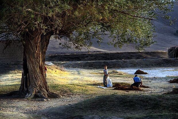 دستان خالی روستاهای هدف گردشگری همدان از تسهیل‌گری